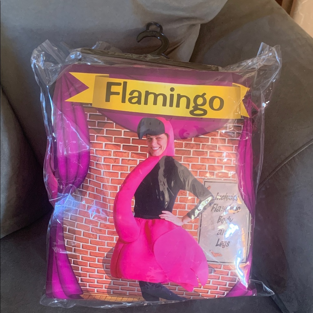 Flamingo Pink Costume Dress